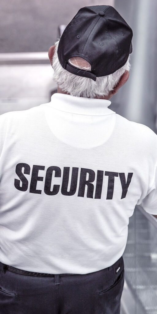 WordPress Security