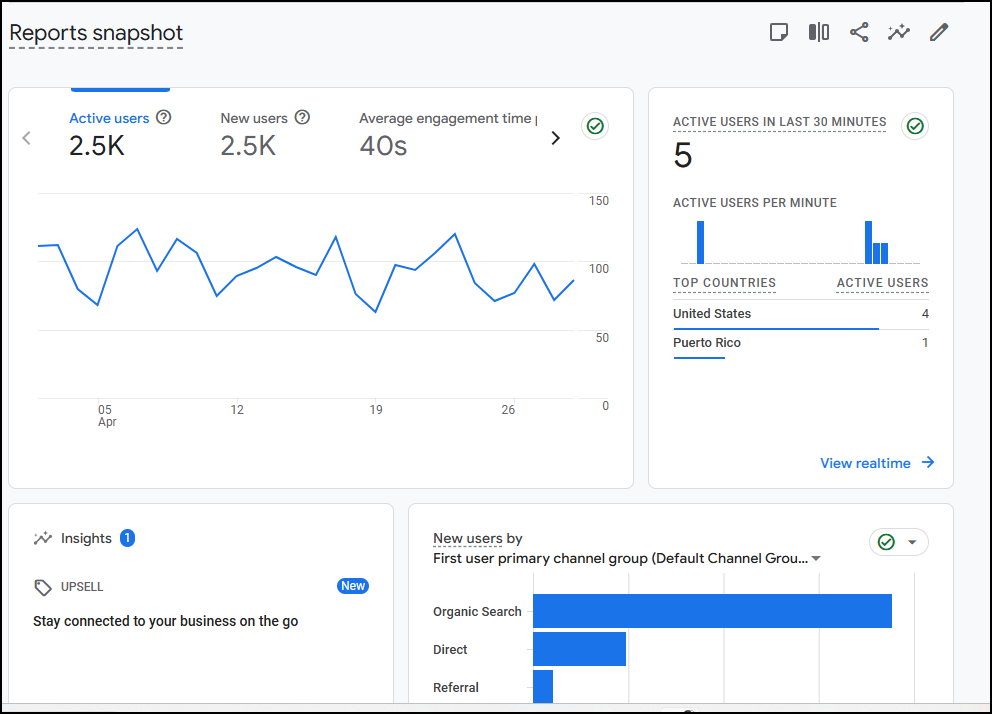 Google Analytics dashboard showing traffic metrics without lead attribution data